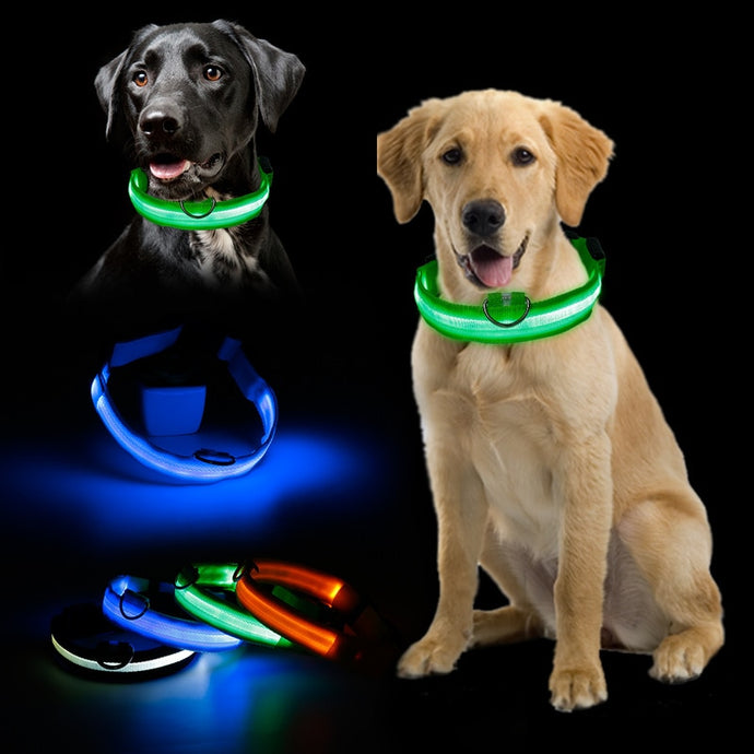 Hot Sale Flashing Glowing Gem Light LED Supplies Dog Collar